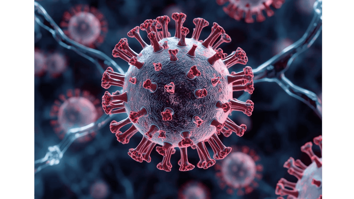 Bağışıklık Sistemi Nedir, Nasıl Güçlendirilir? ile ilgili görsel